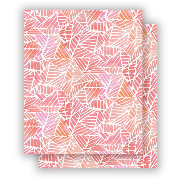 ALBUM COVERS: Accordion Album covers