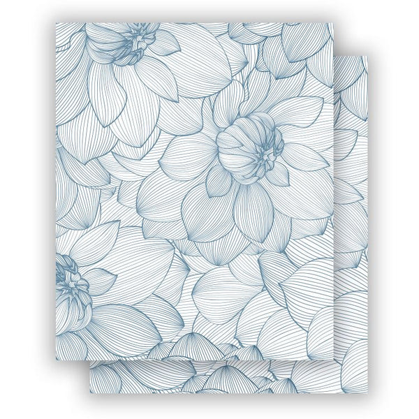 ALBUM COVERS: Accordion Album covers