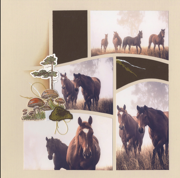 Studio Kit: AUCKLAND