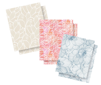 ALBUM COVERS: Accordion Album covers