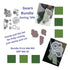 Bundle & Save:  GEARS Large stamp and die set