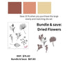 Bundle & Save:  DRIED FLOWERS 1