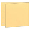 Pages Reportage 30 x 60: STRAW (Pack of 5)