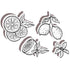Cutting Die Set:  CITRUS (outline)