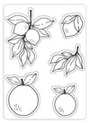 EMBOSS AND CUT:  CITRUS