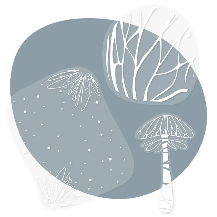 TRANSPARENT FRAMES: ENCHANTED FOREST