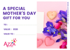 GIFT CERTIFICATE:  Value $120