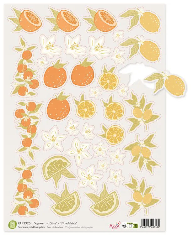 A4 PRE-CUT VELLUM Sketch Sheet: CITRUS
