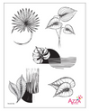 Stamp Set - Large: TROPICAL FOREST