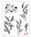 Stamp Set - Large: FOLIAGE TEXTURES