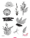 Stamp Set - Large: AQUATIC SERENITY