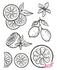 Bundle & Save:  CITRUS