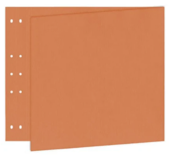Pages Reportage: DOUBLE 30 X 60 (pack of 5) Variants