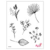 Stamp Set - Large: DRIED FLOWERS