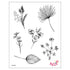 Stamp Set - Large: DRIED FLOWERS